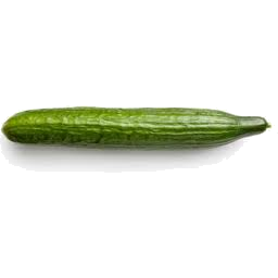 Cucumber Continental Ea