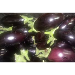 Eggplant Case
