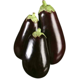Eggplant Kg