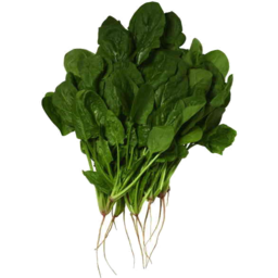 English Spinach Bch