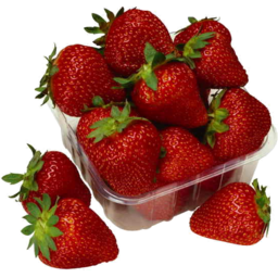 Strawberries Medium Pnt